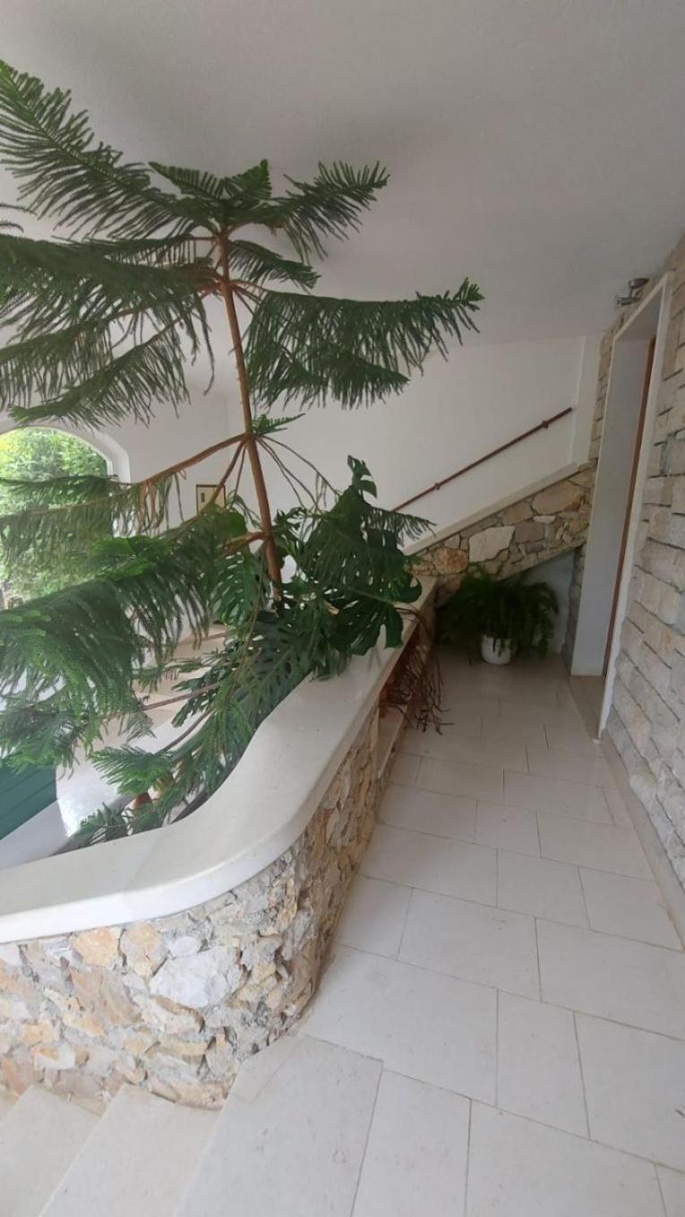 בול Apartment Brane מראה חיצוני תמונה